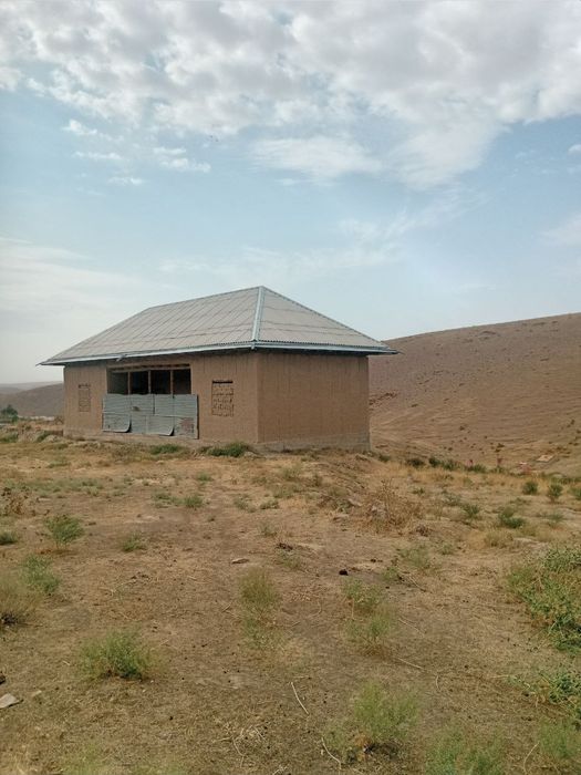 Xujjatlashtrilgan ,kadastr qilingan