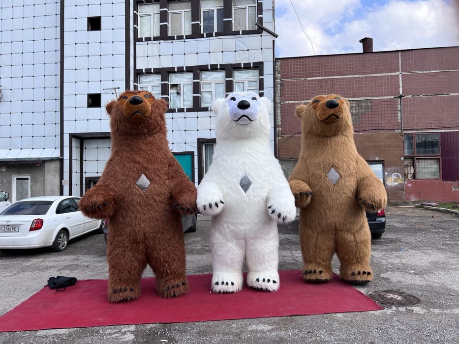 Ayiqlar sotiladi. Super skedka 10%