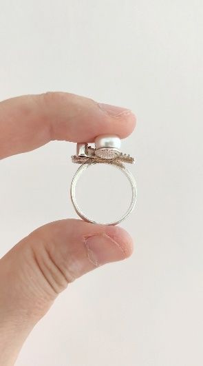 Мотылек цирконы ,