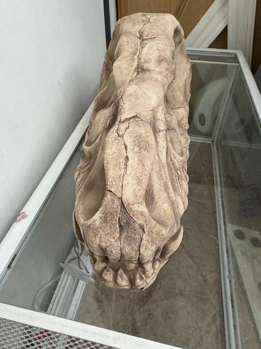 Продам террариум для рептилий