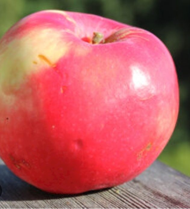 Mar (Soiul Red Melba )