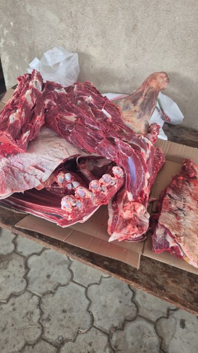 Табақтап семіз байталдын еті сатылады