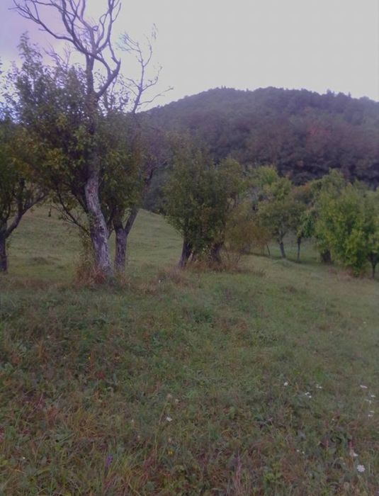 Teren comuna Bisoca