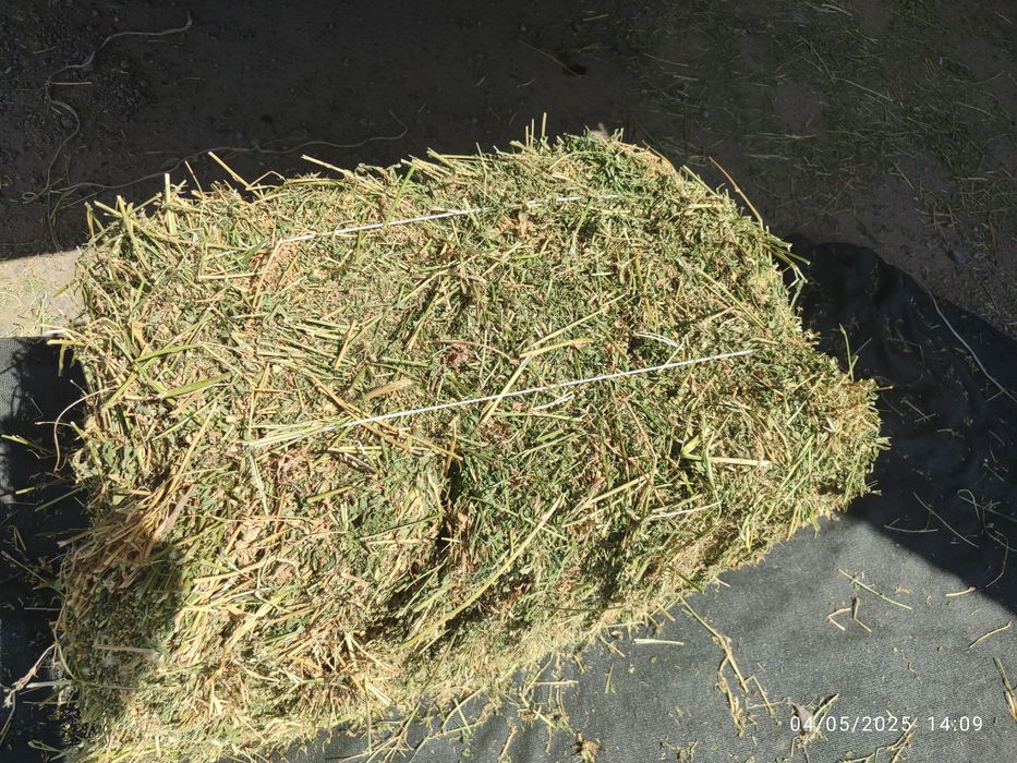 Beda press somon pressga zakaz olamiz