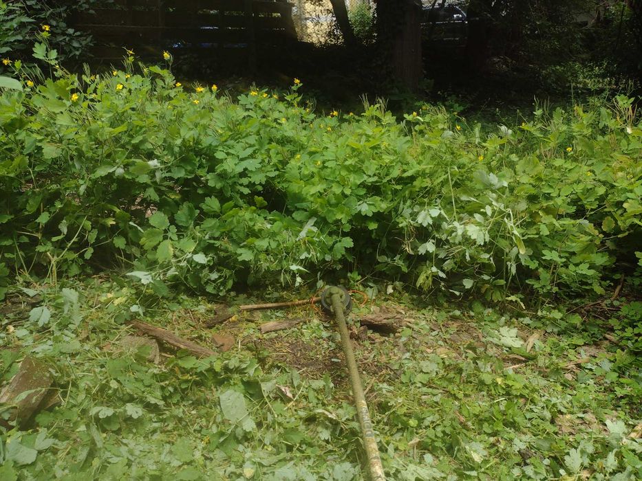 Почистване на дворове, косене на трева