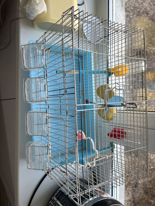 Продам клетку для попугая