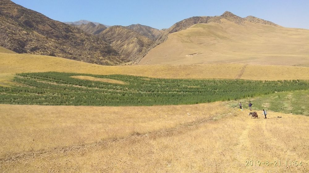 Бизнес учун ер жой