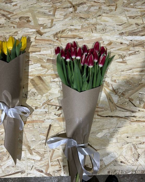 Тюльпаны продажа опт розница