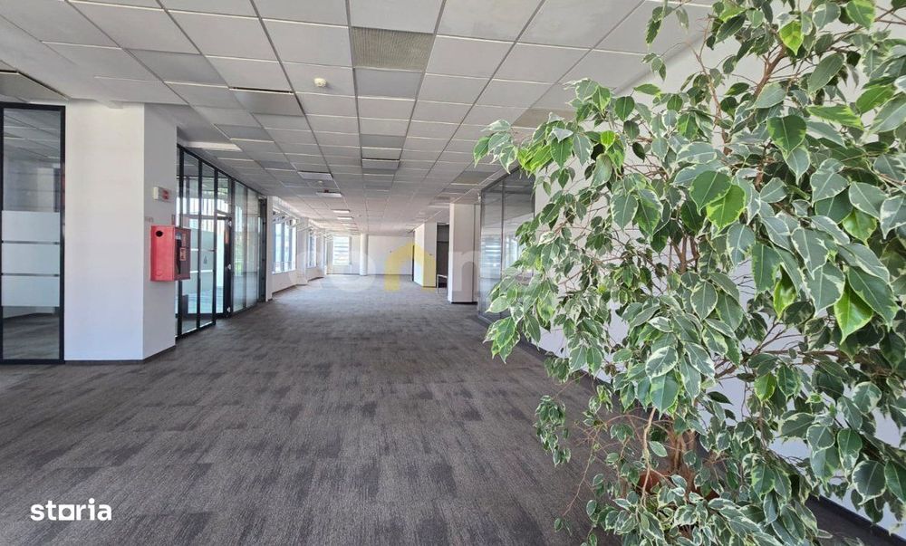 Birouri moderne de inchiriat 900 mp I Parcare subterana I Ultracentral
