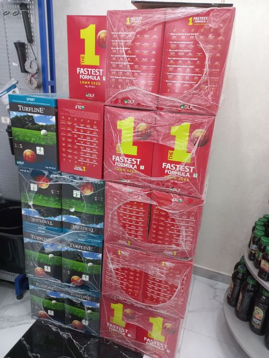 Gazon urug семена газона