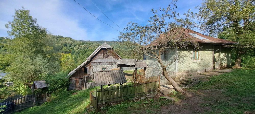 Teren si constructii situate in intravilan 7.780 mp, comuna Bertea, sat Lutu Rosu, Prahova