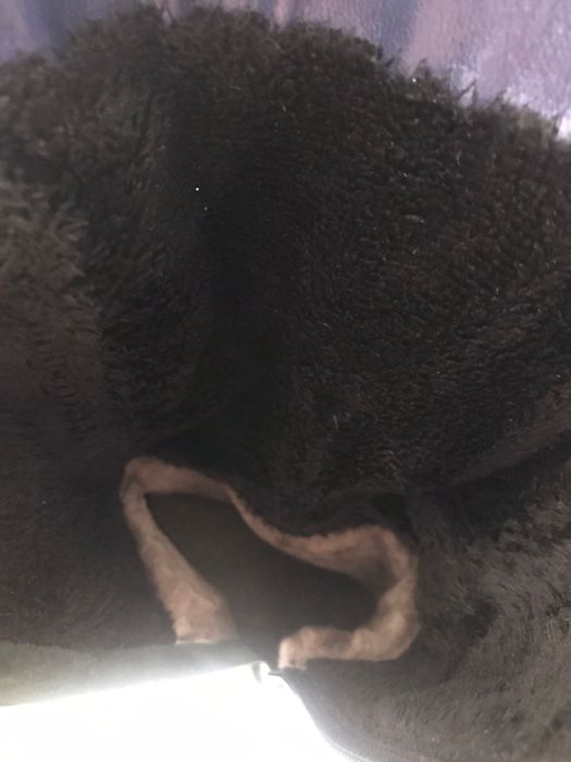 Сапоги брендовые Pier Lucci