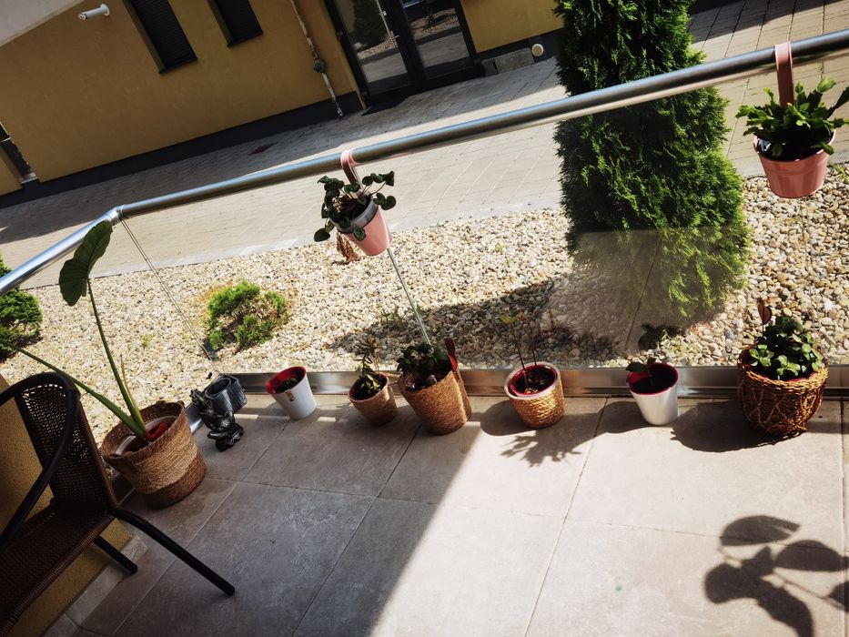 PROPRIETAR partament 2 camere,parcare, Dumbravita