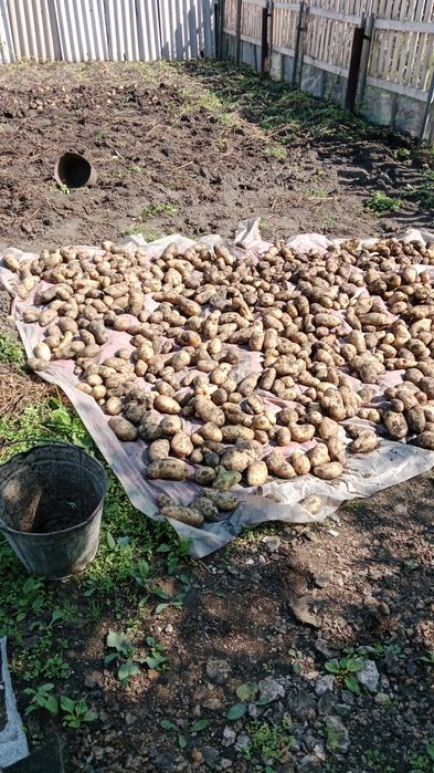 Продам дачу, с/о Эврика