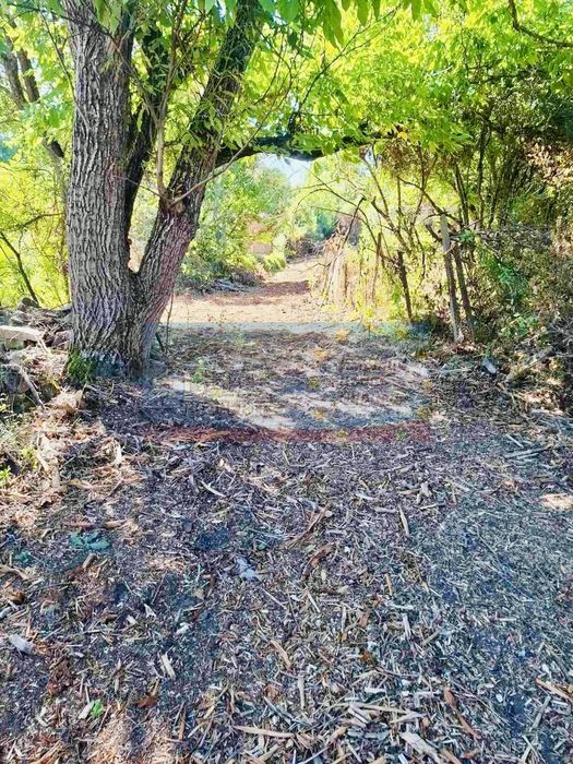 Стара къща с голям парцел 1640 м2