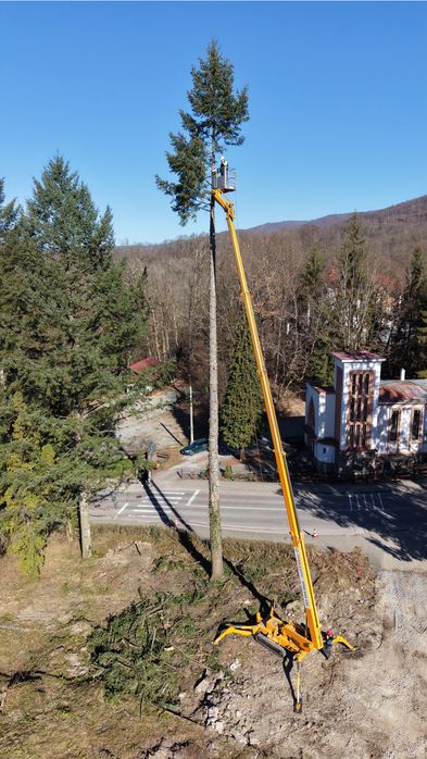 Taiere profesional a arborilor / copaci Sibiu cu platforma de lucru