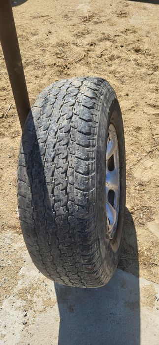 Покрышка дискасымен сатылат