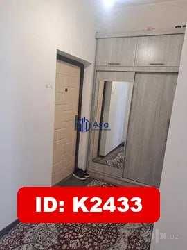 Arzon narxda ijaraga beriladi K2433 1xonalik beriladi