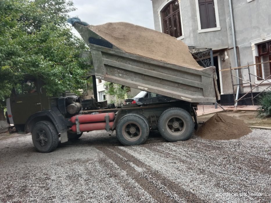 Кум шагал аптималка тош турпок шебён кленес кампот gum sheben