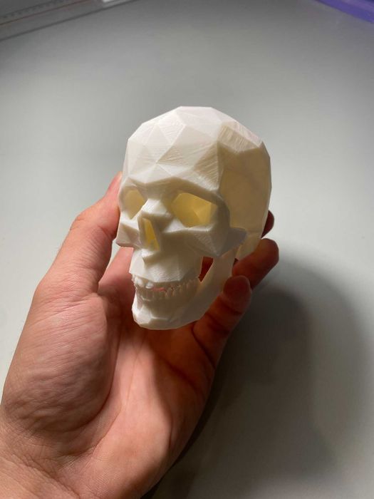 3D принтиран череп