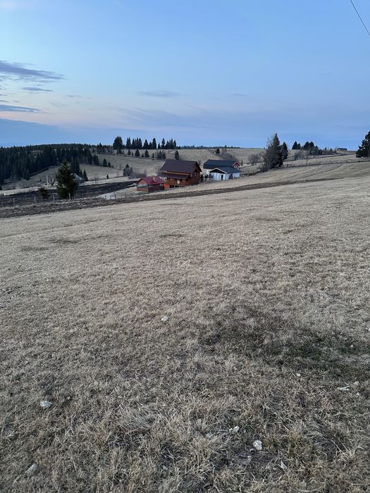 Teren in Marisel, Copcea aproape de partie