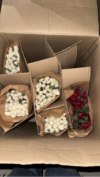 Тюльпаны на 8 марта