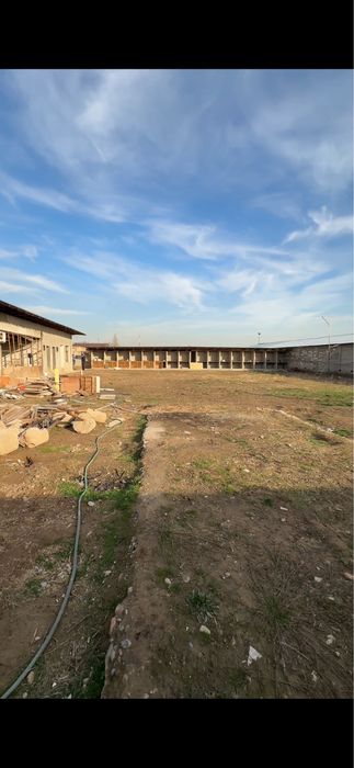 Madaniyat rais koʻchada yer sotiladi soʻtigi 10000