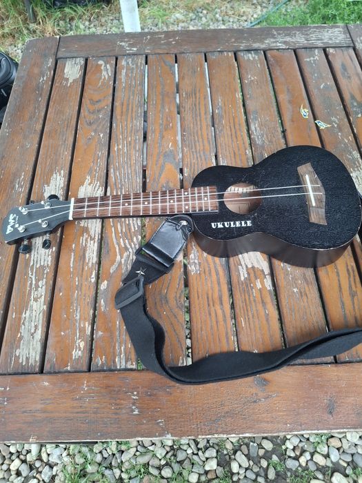 Chitară Ukulele Elveția