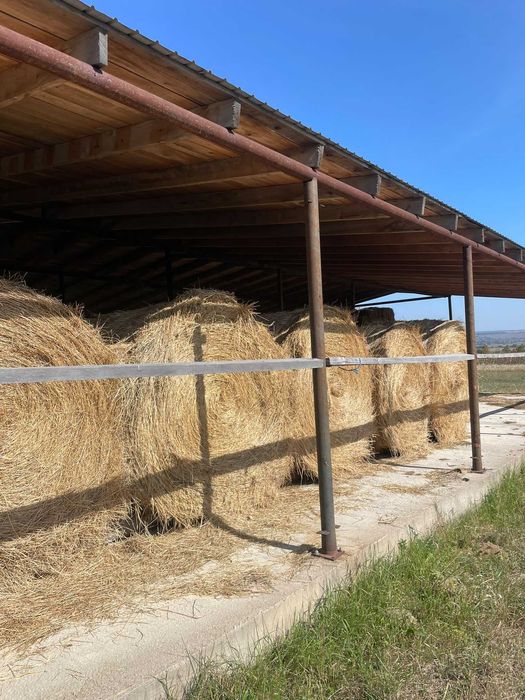 Vînd baloți de semănătură la 1.80 înălțime în jur de 500 600 kg