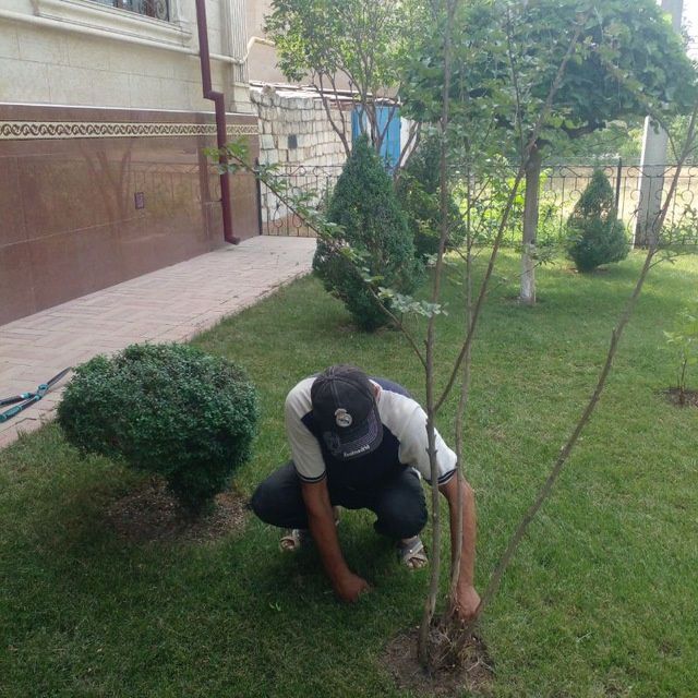 Bogʻbon xizmati ishlari