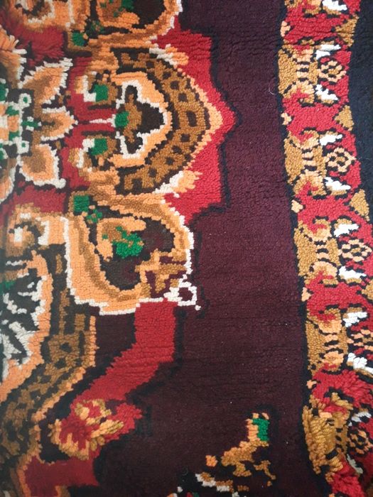 Нови вълнени китеници