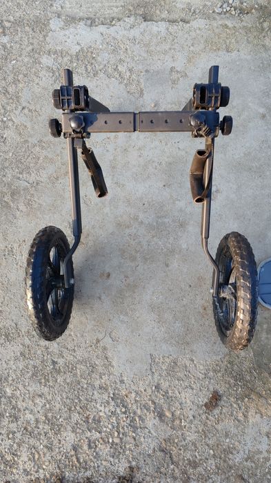 Carucior caine paralizat / handicapat