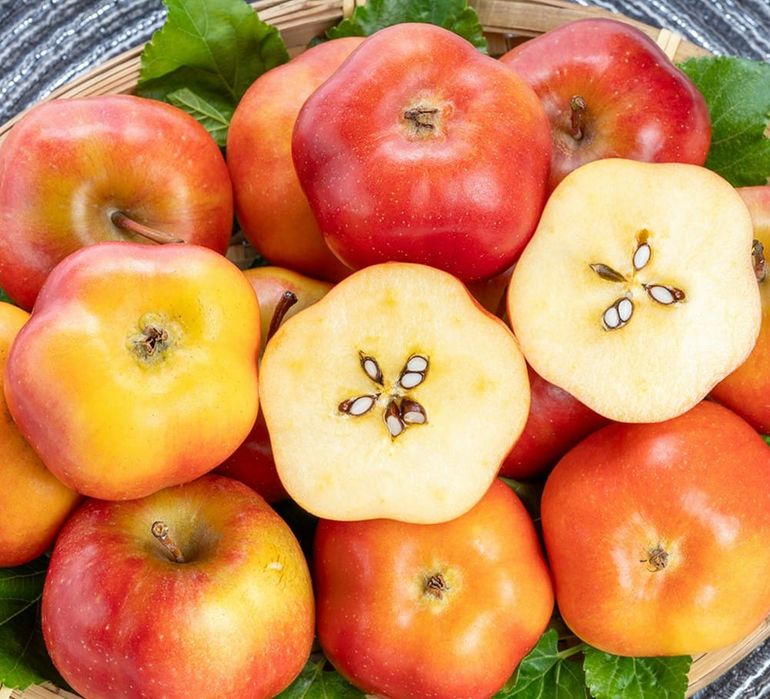 Pomi Fructiferi ( Soiuri Deosebite )