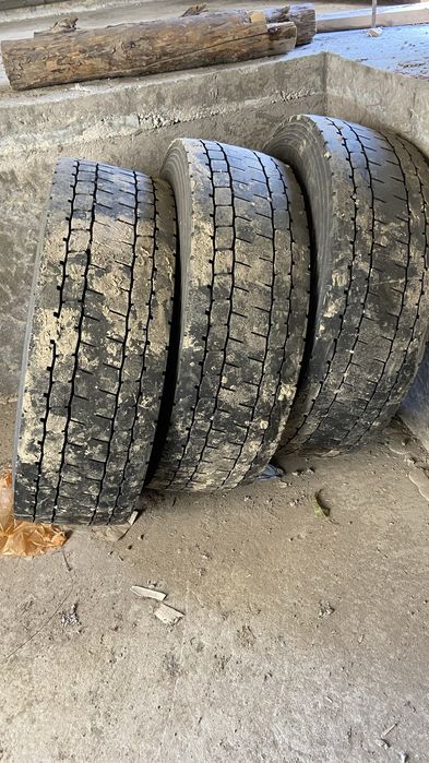 Шиный в отличном состояние