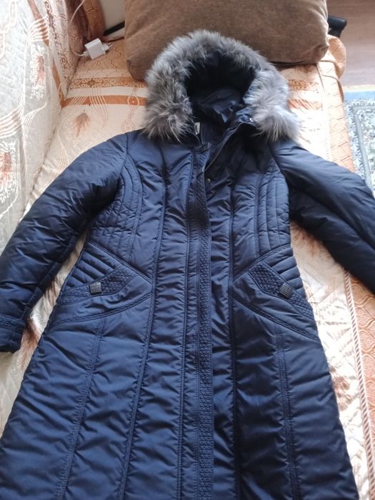 Пихора синего цвета