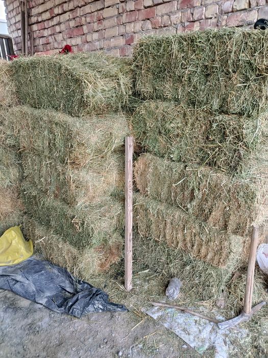 Беда пресс сотилади.