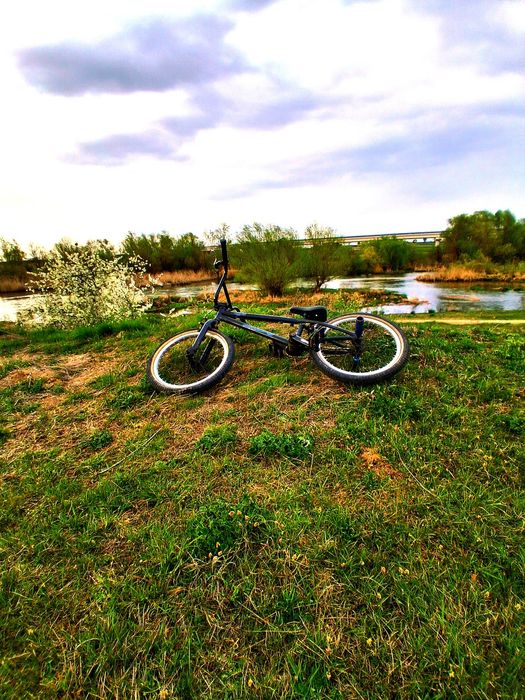 Bmx perfect functional