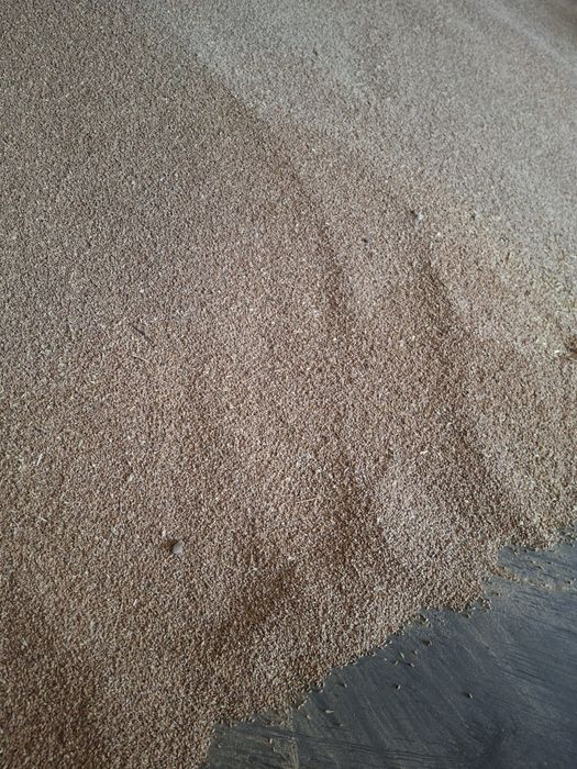 Grau, grîu de vanzare.