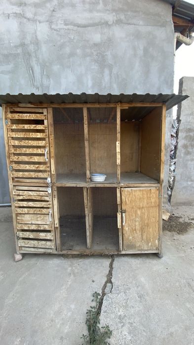 Kota qapas sotiladi