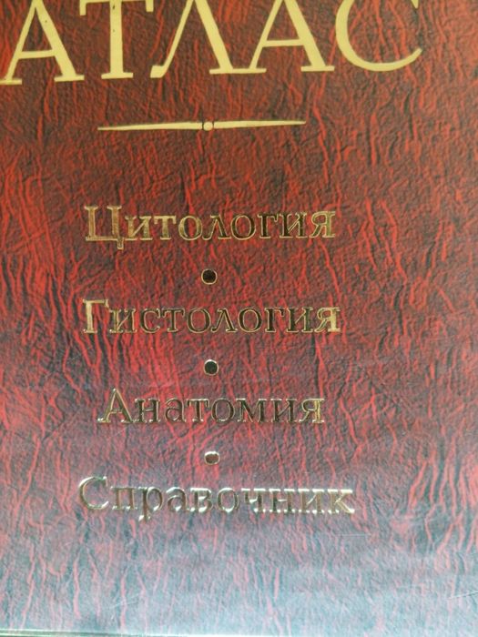 Анатомия человека сотилади