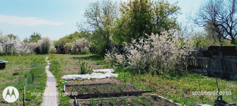 Дача Черёмушки продается