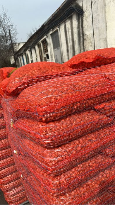 Vand arpagic stuttgarter