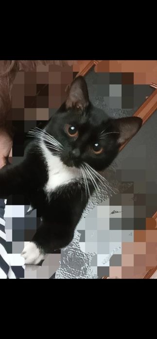 Малышка ждёт лучшую семью