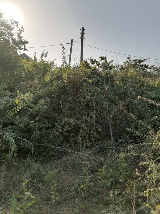 Косене  и Поддръжка на Тревни Площи