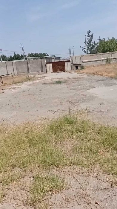 Tovuqxona va ishlab-chiqarish bino-inshootlari