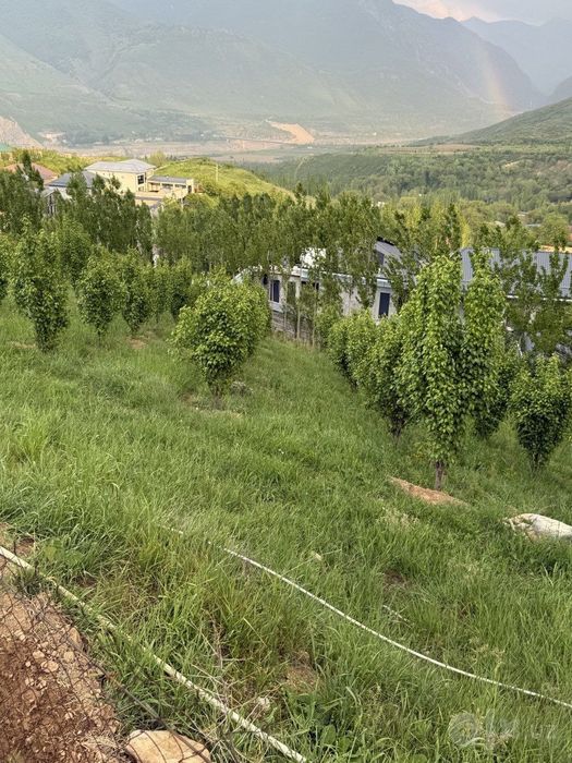 Турар жой 700кв.м