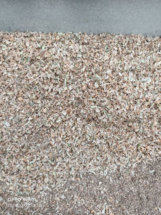 Корма для всех животных