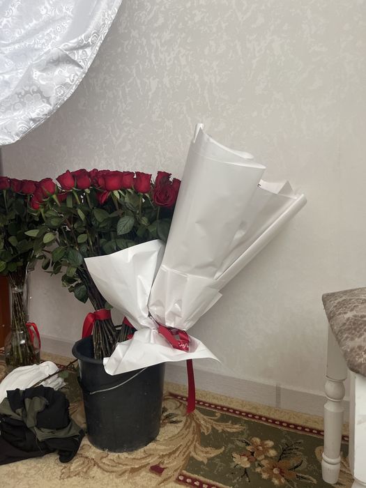 Гүл сатылады қызы роза галандцкий