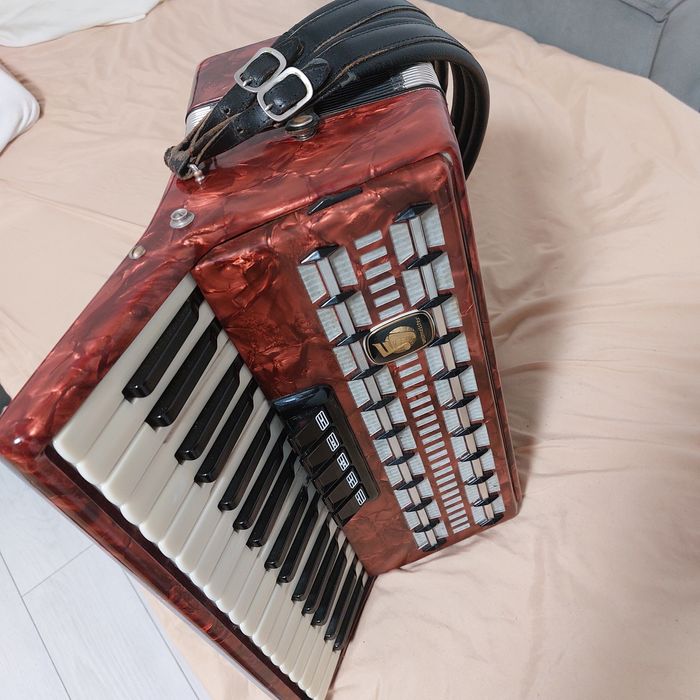 Vind acordeon profesional  wellmayster