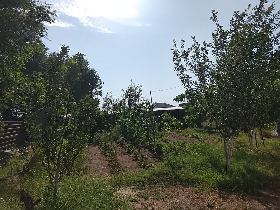 Продается жилой дом в Арне